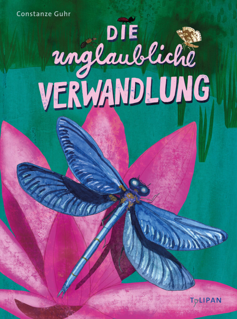 die unglaubliche Verwandlung Buch über Insekten