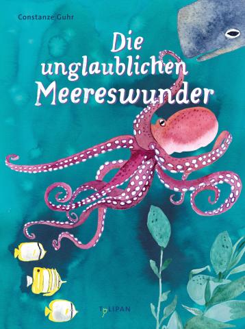 die unglaublichen Meereswunder Buch übers Meer